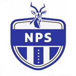 Ngezi Platinum